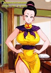chichi from dragon ball