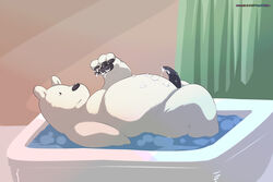 bath bear cum erection fur ice_bear male male_only mammal overweight penis polar_bear solo ursofofinho we_bare_bears