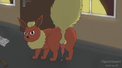 ambient_among_us animal_genitalia animal_penis anus backlighting backsack balls bleak_ambiance bodily_fluids brown_door building canine_genitalia canine_penis countershading door door_handle dripping eeveelution feral flareon fur generation_1_pokemon genital_fluids genitals glistening glistening_body glistening_eyes glistening_genitalia glistening_penis hair hi_res knot light lighting male male_focus male_only male_penetrated newspaper night nintendo orange_body orange_fur penis pokemon pokemon_(species) precum precum_drip precum_on_ground quadruped solo tail tan_body tan_fur tan_hair tan_tail tigertriesart toilet_paper_roll wall_(structure) window window_curtains