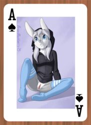 2015 ace_of_spades anthro blue_eyes bottomless brian_mcpherson card clitoris closed_mouth clothed clothing cynthia_(brian_mcpherson) ear_piercing female female_only front_view fur furry furry_ears grey_fur grey_hair hair half-dressed hoodie lagomorph legwear long_ears mammal open_eyes piercing playing_card presenting pussy rabbit sitting solo stockings tied_hair twintails white_fur