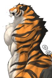 abs anal captainjohkid closed_eyes feline flakjacket0204 male mammal plain_background tiger white_background yaoi