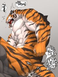 abs anal feline flakjacket0204 male mammal muscles nude plain_background text tiger translation_request yaoi