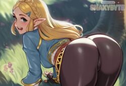 princess zelda from breath of the wild by snaxybyte