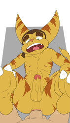 ratchet (ratchet and clank) from ratchet and clank by jerseydevil