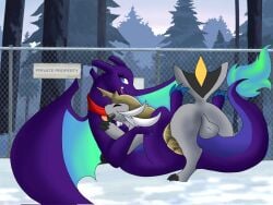 charizard duo fan_character female feral forest forest_background gabu_art hi_res male male/female nature nature_background nintendo outside_sex penetration plant pokémon_(species) pokemon pokemon_(species) samurott sex snow spade_lovelight tree vaginal_penetration