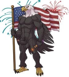 2015 abs american_flag anthro avian badcoyote bald_eagle balls beak bird brown_feathers claws eagle erection feathered_wings feathers firecracker fireworks flag front_view male male_only muscles nude partially_retracted_foreskin pecs penis simple_background solo standing talons toe_claws toned uncut wings yellow_eyes