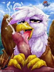 2015 avian balls beak blush cloud cum cumshot dimwitdog equine erection female friendship_is_magic gilda_(mlp) group gryphon hair half-closed_eyes hasbro human human_on_feral licking male male_human/female_feral male_on_feral mammal multicolored_hair my_little_pony nude on_cloud oral orgasm outside partial_male pegasus penis penis_lick rainbow_dash_(mlp) rainbow_hair saliva sex straight straight_hair tongue tongue_out wings