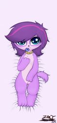 3_toes anthro blue_eyes canine collar dakimakura female fur hair littlest_pet_shop looking_at_viewer lying mammal multicolored_hair nude paws purple_fur purple_hair pussy solo toes two_tone_hair zoe_trent