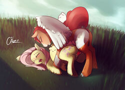 2015 aiko_stable balls blush closed_eyes duo equine female feral fluttershy_(mlp) friendship_is_magic male mammal my_little_pony pegasus penetration penis pussy straight vaginal_penetration wings