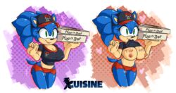 sonic the hedgehog from sonic (series) by cuisine