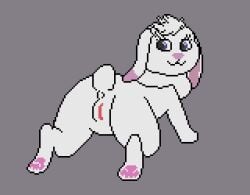 anus ass blue_eyes bungee_(over_the_moon) cotton_tail digital_media_(artwork) female feral fur genitals lagomorph leporid looking_back mammal moonbat nude over_the_moon pawpads paws pixel_(artwork) presenting presenting_hindquarters rabbit simple_background solo tail vulva white_body white_fur