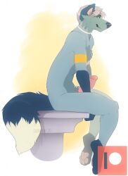 2020 anthro biped blue_body blue_fur blue_nose blue_tail canid canine coffaefox digital_drawing_(artwork) digital_media_(artwork) dipstick_tail emmett_jayhart english_text fox fur fur_markings genitals gloves_(marking) hair hi_res ledge leg_markings male male_anthro male_only mammal markings multicolored_body multicolored_fur multicolored_tail nude nude_anthro nude_male patreon patreon_logo pawpads paws penis pink_penis purple_hair purple_pawpads red_fox side_view silver_fox simple_background sitting sleepeatea smile socks_(marking) solo tail tail_markings text true_fox white_tail_tip yellow_eyes
