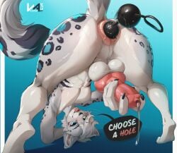 absurd_res anal anal_beads anal_beads_in_ass anal_sex anal_tugging animal_genitalia animal_penis anthro ass_up balls bodily_fluids canine_genitalia canine_penis dripping erection felid femboy fluffy fluffy_tail fur gaping gaping_urethra genital_fluids genitals grey_body grey_fur heterochromia hi_res knot looking_through_legs_at_viewer male male_penetrated mammal markings object_in_ass pantherine penetration penis precum precum_drip sex_toy sex_toy_in_ass sex_toy_insertion snow_leopard snowcat41115 solo spots spotted_body spotted_fur tail urethra vesper_art whiskers