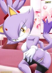 blaze the cat from sega by bbmbbf