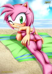 amy rose from sega by bbmbbf