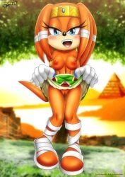 1girls anthro bbmbbf blush breasts female female_only looking_at_viewer mobian_(species) mobius_unleashed nipples open_mouth palcomix presenting pussy sega solo sonic_(series) sonic_the_hedgehog_(series) teeth tikal_the_echidna tongue
