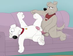 anal anal_sex balls blue_eyes brian_griffin canine family_guy looking_at_viewer lying male male_only mammal neenya new_brian orgasm penetration penis sex sofa yaoi