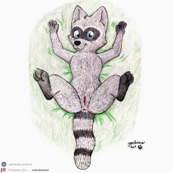 1:1 3_toes anus black_paws cartoon_hangover claws coco_(doctor_lollipop) doctor_lollipop feet female feral genitals hi_res legs_up looking_at_viewer lying mammal on_back patreon patreon_logo patreon_username paws procyonid raccoon shy smile smiling_at_viewer solo spread_legs spreading text toes traditional_media_(artwork) url vulva yordraw