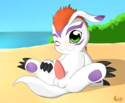 2015 balls beach digimon eraquis erection gomamon male male_only penis seaside simple_background solo tagme