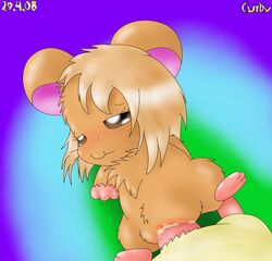 1boy 1girls 2008 brown_fur curby hamster hamtaro_(series) original_character penis pussy tagme