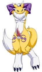 alpha_channel angry animal_genitalia balls canine canine_penis darthglacier digimon erection fur knot looking_at_viewer male male_only mammal penis plain_background pose renamon solo transparent_background white_fur yellow_fur