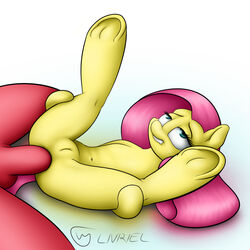 anal anal_sex anus ass balls big_macintosh_(mlp) big_penis clitoris equine eyelashes female feral flat_chested fluttershy_(mlp) friendship_is_magic green_eyes hair hooves legs_up livriel male mammal my_little_pony navel nude pegasus penetration penis pink_hair pink_tail pussy sex spread_legs spreading straight teeth underhoof wings