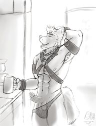 1boy anthro balls bitnarukami bondage_gear canine coffee erection furry furry_only hair leather leather_harness male male_only mammal muscles penis precum solo tongue