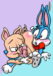 69 anthro balls blue_fur blush bottomless buster_bunny clothed clothing cum erection fellatio fur half-dressed hampton_j_pig lagomorph leinad56 male mammal oral penis pig porcine rabbit sex tiny_toon_adventures tongue tongue_out warner_brothers yaoi