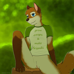 anthro blue_eyes breasts canine clothing eddiew female forest fox june mammal outside pussy raised_leg shirt sitting small_breasts solo tree