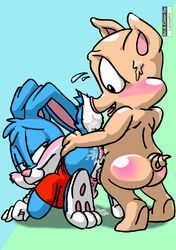 anal anal_sex anthro ass balls blue_fur blush bottomless buster_bunny clothed clothing cum erection fur half-dressed hampton_j_pig lagomorph leinad56 male mammal penetration penis pig porcine rabbit sex tiny_toon_adventures warner_brothers yaoi