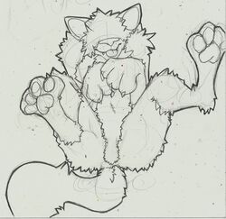 afrosoldier303 anthro_only canine drawing feet female fuzzy lying mammal no_humans on_back pads paws plain_background sketch solo spread_legs spreading tongue tongue_out were werewolf white_background wolf