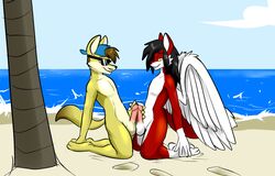 2015 anthro balls beach blast_mcyote canine coyote duo erection eyewear fox frottage humanoid_penis male mammal masturbation metal_(artist) nude nude_beach outside penis sam_the_angel_fox seaside sex sky smile sunglasses wings yaoi