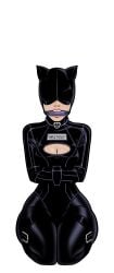 1female 1girl 1girls alternate_costume batman_(series) bdsm_collar belt_bondage bit_gag blindfold blindfolded bondage bondage_outfit boob_window catsuit catwoman collar collar_ring dc_comics female femsub frogtie gag gagged helpless helpless_female helpless_girl hood latex latex_bodysuit latex_clothing latex_hood leather_straps legbinder muzzle_gag numbered_tag selina_kyle straitjacket wossarem
