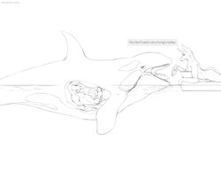 anthro armorine bulge canine cetacean cum cum_inside feeding feral internal interspecies mammal marine masturbation nude orca orgasm size_difference vore whale what