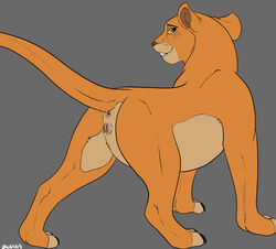 anus ass backlash91 blush claws feline female feral flat_colors furry lion looking_at_viewer looking_back mammal presenting presenting_hindquarters pussy quadruped raised_tail rear_view signature solo