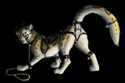 anatomically_correct anatomically_correct_pussy animal_genitalia anus bondage chains collar feline feline_pussy feral harness hotwert leash leopard looking_at_viewer ltl mammal mia pussy raised_tail snow_leopard yellow_eyes