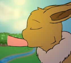 eevee from nintendo by coliser