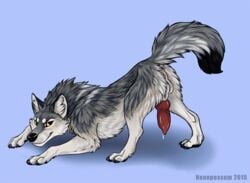 2015 ass balls canine cum erection feral fur furry furry_only inviting male male_only mammal nude penis presenting solo wingedwolf wolf