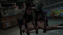 1girls 2boys 3d anal anal_sex beastiality blender blowjob brown_hair canine canine_penis capcom cerberus_(resident_evil) claire_redfield cum cum_in_ass cum_in_mouth cum_in_pussy darktronicksfm dogs domestic_dog face_fucking fellatio female female_penetrated feral feral_penetrating gangbang grabbing_own_breast group group_sex interspecies knot male male/female male_penetrating mattress monster nude nude_female open_mouth oral resident_evil_2 resident_evil_2_remake sex spitroast tagme tied_hair tongue_out video white_skin zombie zombie_dog zoophillia