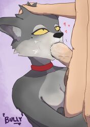 blowjob blowjob_face bully_draws canine_humanoid choker collar furry furry_female hand_on_head heart_symbol holding_head interspecies looking_at_partner looking_up oral_sex saliva saliva_on_penis sucking_penis yellow_sclera