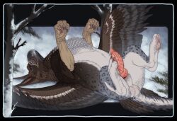 2025 animal_genitalia avian balls beak brown_body brown_feathers claws dated erection feathered_wings feathers feral genitals grass grey_body grey_feathers gryphon hi_res knot licking licking_lips licking_own_lips lying male male_feral mythological_avian mythological_creature mythology on_back open_mouth penis pink_penis plant red_tongue ridged_penis riorix sheath solo tongue tongue_out tree vein veiny_penis white_balls white_body white_feathers white_sheath wings yellow_eyes