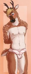 abs anthro balls blue_eyes blush brown_fur cervine chital clothing cute deer deer-spangle diphallia diphallism erection fur hemipenes horn male male_only mammal marjani multi_penis muscular nipples panties penis simple_background smile solo spots spotted_fur underwear white_fur