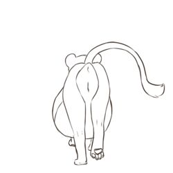 animated aogami disney feline female feral lion mammal nala pregnant pussy the_lion_king walk_cycle