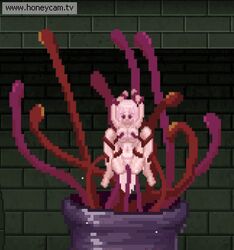 animated hair marianne_(unholy_sanctuary) penetration pink red_eyes slave tentacle unholy_jail unholy_sanctuary