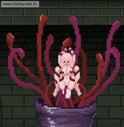 1girls animated big_breasts breasts cum cum_in_pussy cum_inside female long_hair marianne_(unholy_sanctuary) open_mouth partially_clothed penetration pink_hair pussy rape red_eyes red_tentacles restrained spread_legs tentacle tentacle_rape unholy_jail unholy_sanctuary vaginal_penetration