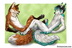 2015 anthro canine duo foot_fetish footjob fox fur hair male mammal nude paws penis playing sex smile tongue wingedwolf yaoi