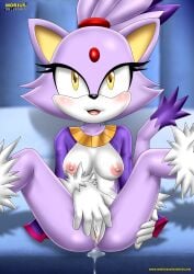 blaze the cat from sega by bbmbbf