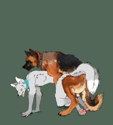 all_fours anal anal_sex animated anthro anthro_on_feral anthro_penetrated balls brown_body brown_fur canid canine canis collar digital_media_(artwork) digitigrade domestic_dog duo feral feral_penetrating feral_penetrating_anthro from_behind_position fur genitals german grey_body grey_fur herding_dog jeffusherb male male/male male_on_feral male_penetrated male_penetrating male_penetrating_male mammal mounting pastoral_dog pawpads penetration pink_pawpads pixel_(artwork) pixel_animation quadruped sex sheepdog zoophilia
