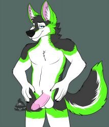 1boy balls ballsack cock furry furry_only green_body green_fur husky malamute simple_background simple_shading sinister-jordex tagme