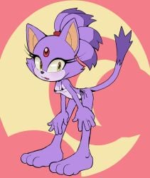 anthro arborialrodent bikini bikini_bottom bikini_top blaze_the_cat blush clothed clothing domestic_cat felid feline felis female fuckwolfamy hair humanoid mammal ponytail sega simple_background skimpy solo sonic_(series) sonic_the_hedgehog_(series) swimwear two-piece_swimsuit yellow_eyes